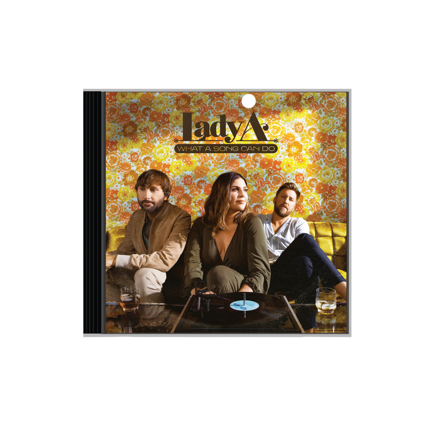 What A Song Can Do CD